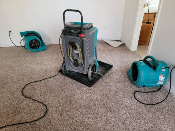 Best Carpet water damage restoration  in Rochester, NY