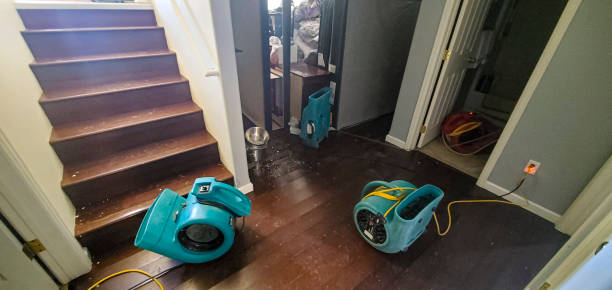 Best Local water damage restoration  in Rochester, NY
