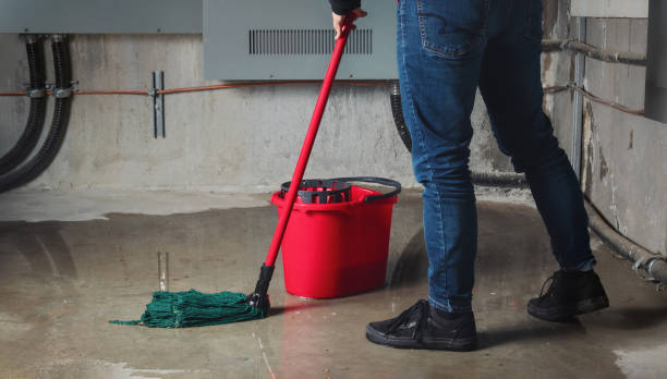 Best Water damage restoration near me  in Rochester, NY