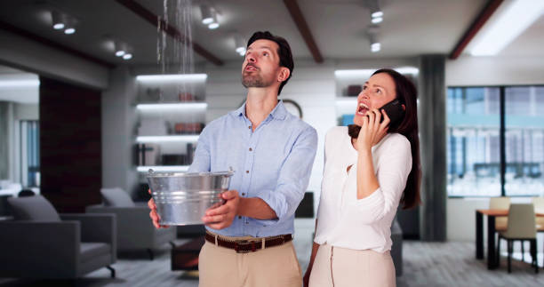Best Mold removal after water damage  in Rochester, NY