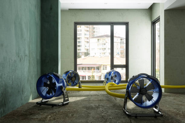 Best 24-hour water damage restoration  in Rochester, NY